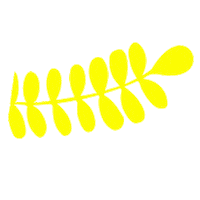 Summer Laje Sticker by JK Shopping DF