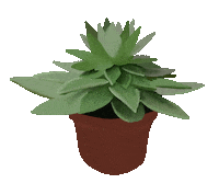 Plants Jungle Sticker