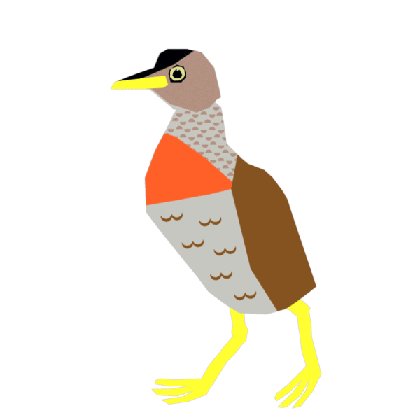 delwp_vic giphyupload plains wanderer nature festival delwp Sticker