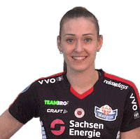 DSCVolley reaction sports bundesliga hearts Sticker