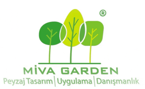 miva_garden giphygifmaker design garden urban GIF
