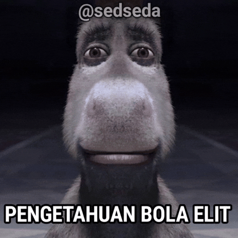 Sedseda GIF