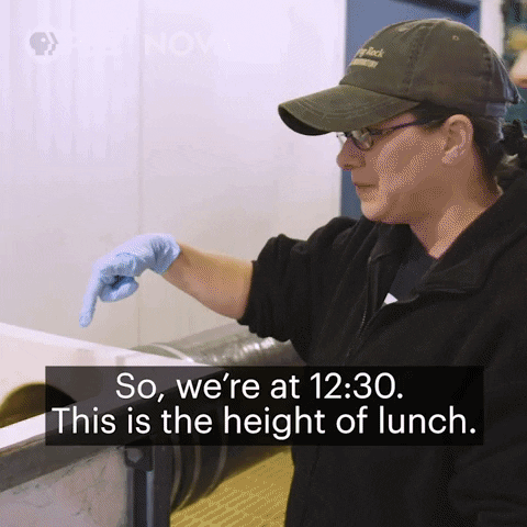 Pbs Biology GIF by WGBH Boston