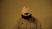 Mke GIF by Milwaukee Panthers