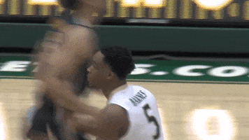 Clapping Gotribe GIF by William & Mary Tribe Athletics