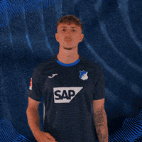 Sport Logo GIF by TSG Hoffenheim