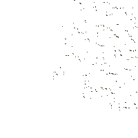 Dejandohuella Sticker by Grupo Bronco