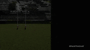NeathRFC neathrfc GIF