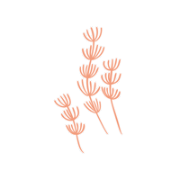 HookLineBos hooklinebos hookandline Sticker