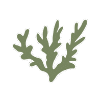 HookLineBos hooklinebos hookandline Sticker