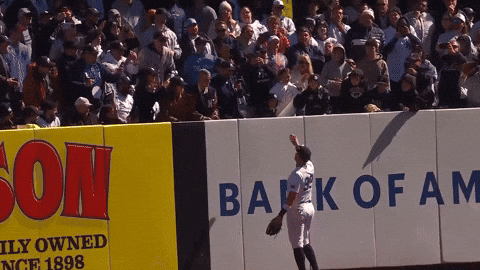 New York Yankees Sport GIF by MLB