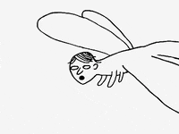 illustration line drawing GIF by David Shrigley