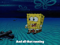 season 2 prehibernation week GIF by SpongeBob SquarePants