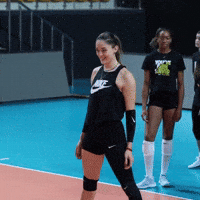 Volleyball Smile GIF