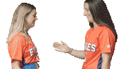 Handshake Sticker by Carson-Newman Athletics