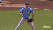 Celebrate Tampa Bay Rays GIF by MLB