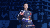 Celebration Hockey GIF by Iserlohn Roosters