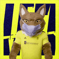 Mask Mascot GIF by Nashville SC