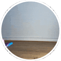Cat Rainbow Sticker