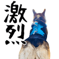 Corgi Wow Sticker