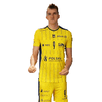 Stal_Nysa volleyball player plusliga siatkówka Sticker