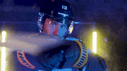 Hockey Echl GIF by Toledo Walleye