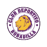 Futbolsanjavier Sticker