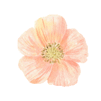 Flower Spring Sticker by P13PaperProducts