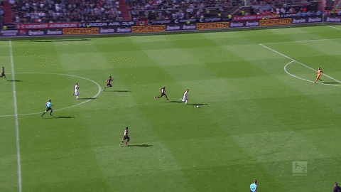 soccer cologne GIF by 1. FC Köln