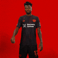Bayer 04 No GIF by Bayer 04 Leverkusen