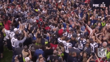 New England Patriots Football GIF by NFL