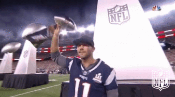 New England Patriots Football GIF by NFL
