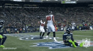 atlanta falcons football GIF by NFL