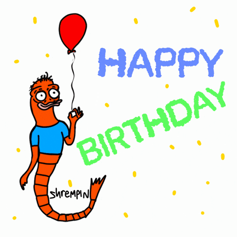 Happy Birthday Party GIF by shremps