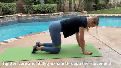 Drbetseypt giphygifmaker pregnancy spd prenatalexercise GIF