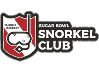 Snow Ski Sticker by sugarbowl