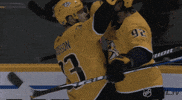 ice hockey hug GIF by NHL