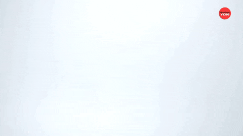 Days Of The Week Breakfast GIF by BuzzFeed