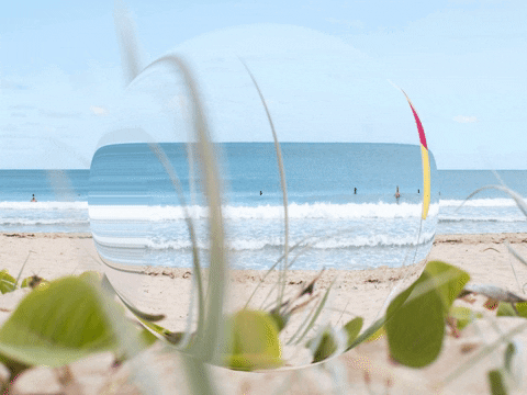 You Can Wow GIF by FranchiseONE.de