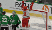 Anaheim Ducks Celebration GIF by NHL