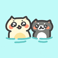 Swim Swimming GIF