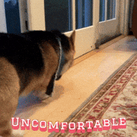 Uncomfortable GIF