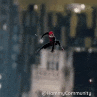 Spiderman Web GIF by Sad Hamster