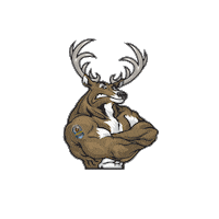 Muscle Deer Sticker by Squash Drachten