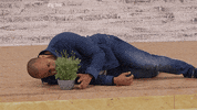 dreamer sadeem GIF by OfficialSadeem