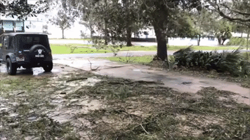 Trees Uprooted and Branches Strewn Across Roads After Hurricane Sally Hits Dauphin Island