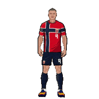 World Cup Football Sticker by Panini America