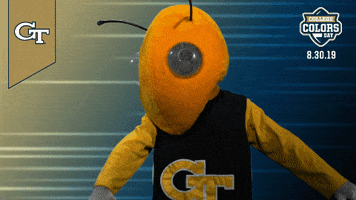 College Sports Mascots GIF by College Colors Day