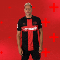 Bayer 04 Win GIF by Bayer 04 Leverkusen