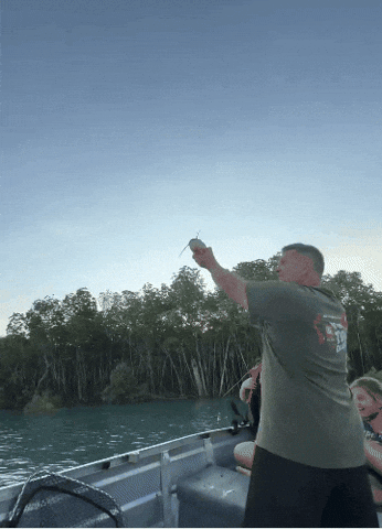 giphy.gif